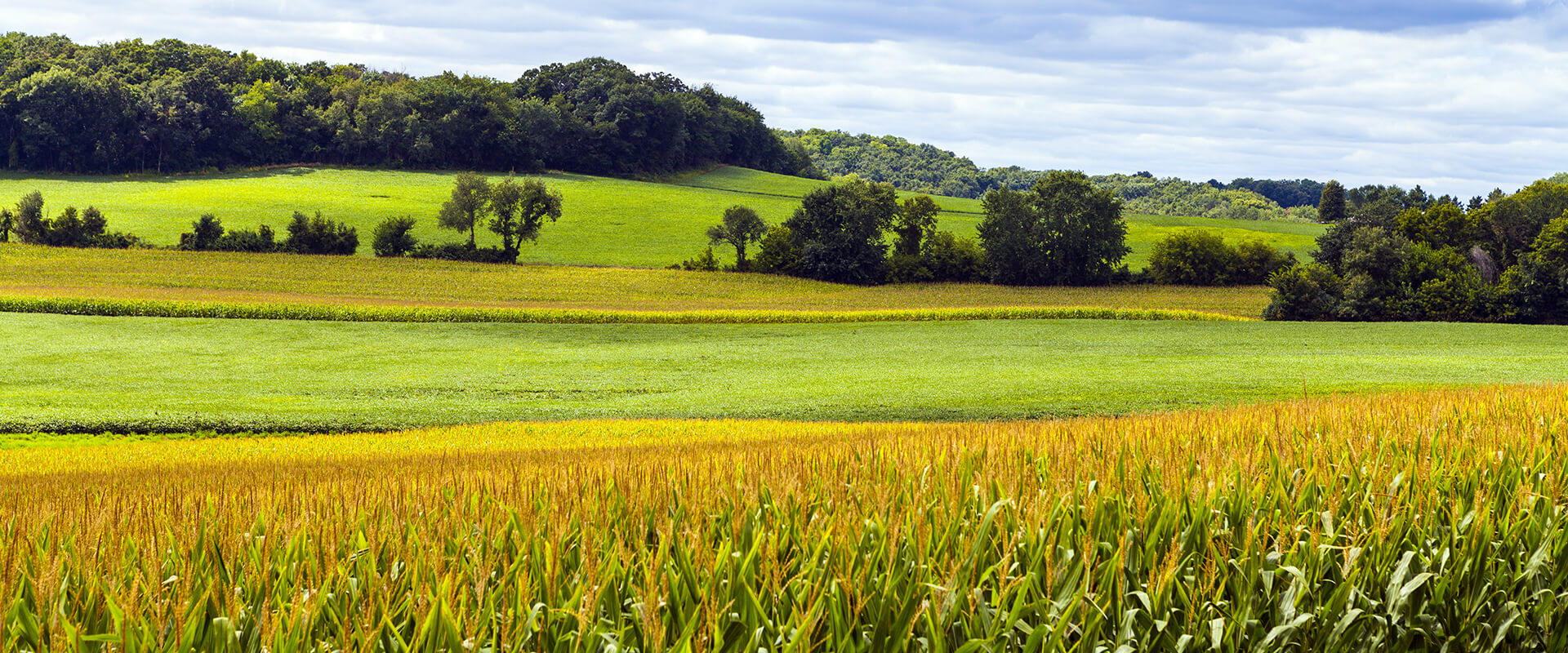 Contact/Consultation