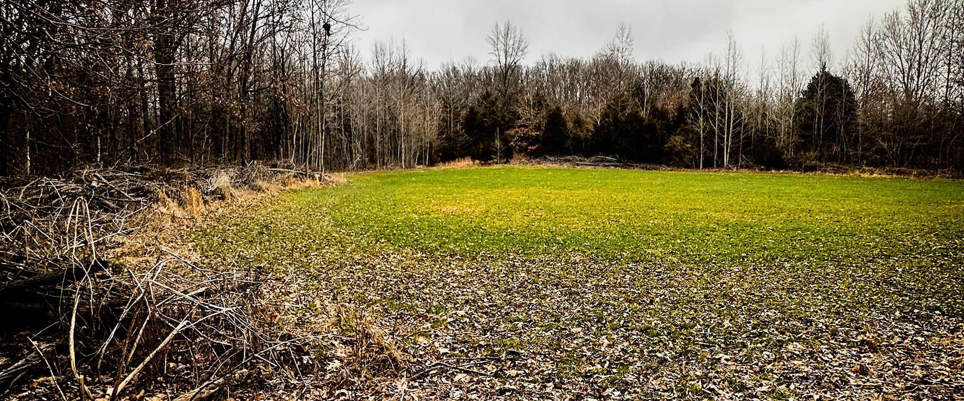 DRIFTLESS DEER HABITAT NEWS DRIFTLESS DEER HABITAT NEWS