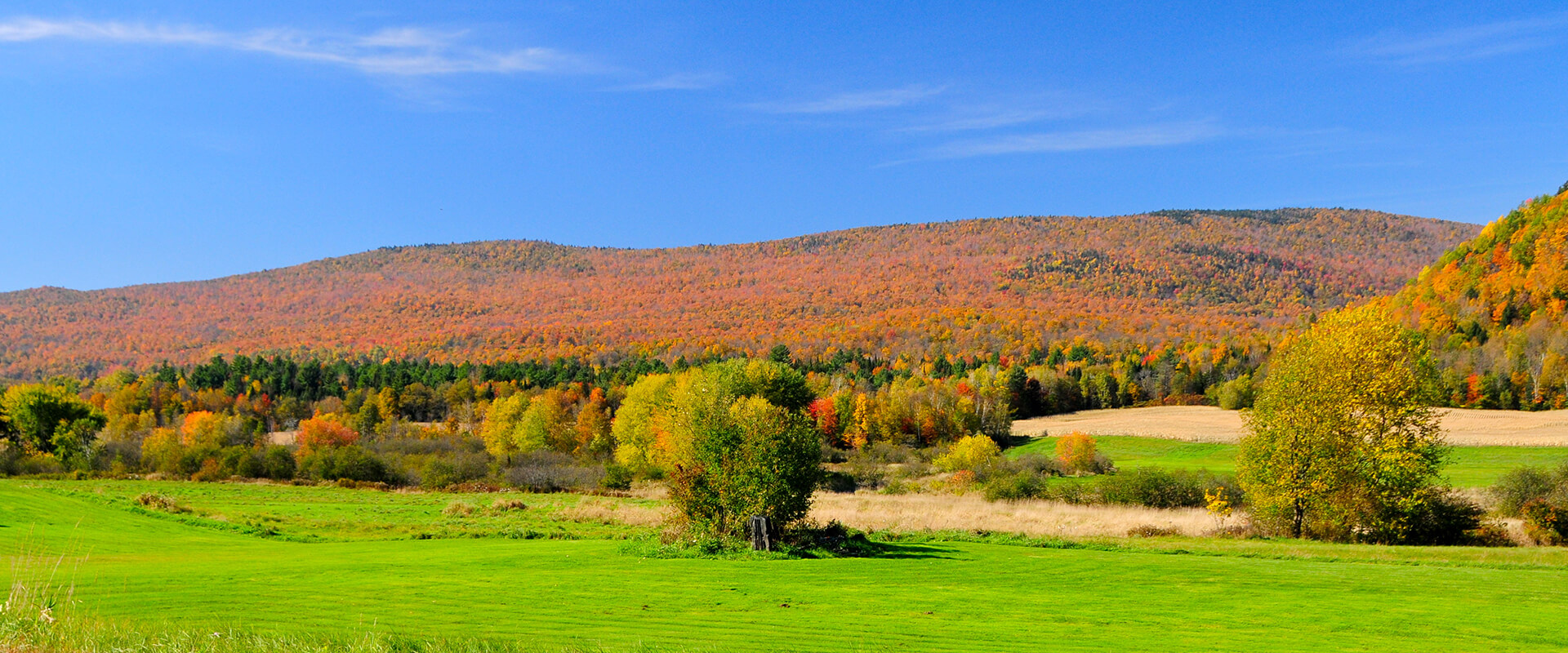Driftless Deer Habitat Photo Gallery