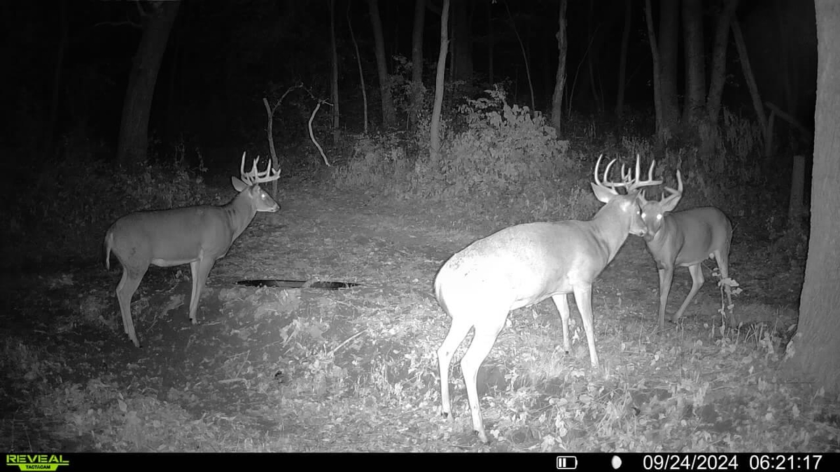 Additional Service Options