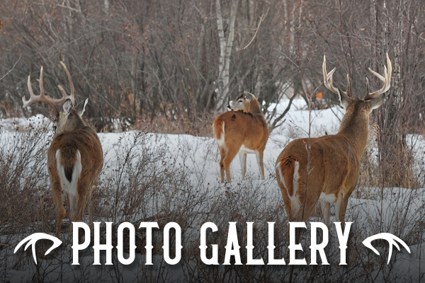 Photo Gallery Photo Gallery